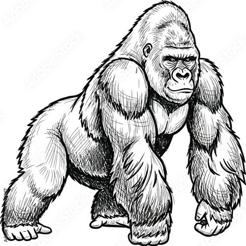 Powerful silverback gorilla standing in a bold detailed black and white sketch style