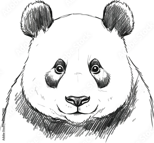 Detailed black and white pencil sketch portrait of a giant panda bear face