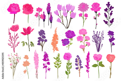 Colección de flores botánicas de acuarela en tonos rosados y morados sobre fondo blanco, diseño transparente.