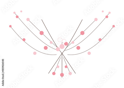 dragonfly on a white background