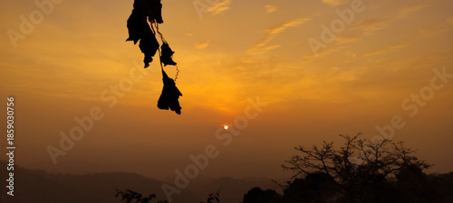 Photography Colorful sunset over rolling hills and fields showcases nature's beauty in a tra