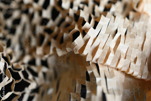 乱雑に置いた網目の紙03