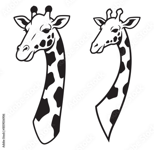 Black and white vector illustration of two giraffe heads and necks on a white background