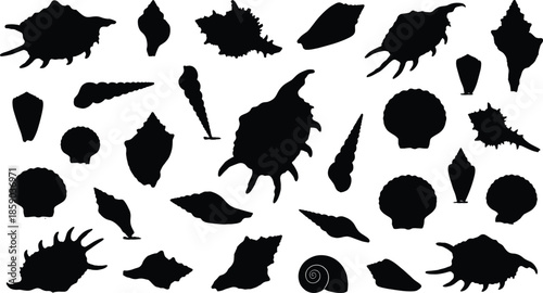 Seashell silhouettes collection isolated on white background, marine ocean shells set, beach coastal nature icons black vector illustration design graphic