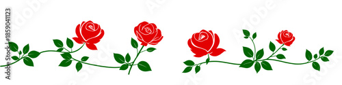 Elegant red roses with green leaves and flowing stems arranged as a horizontal floral vine border isolated on a white background symbolizing romance love and natural beauty.
