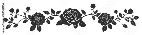 Decorative black rose flowers with leaves and branches arranged as a horizontal floral border isolated on a white background representing elegance romance and classic floral design.