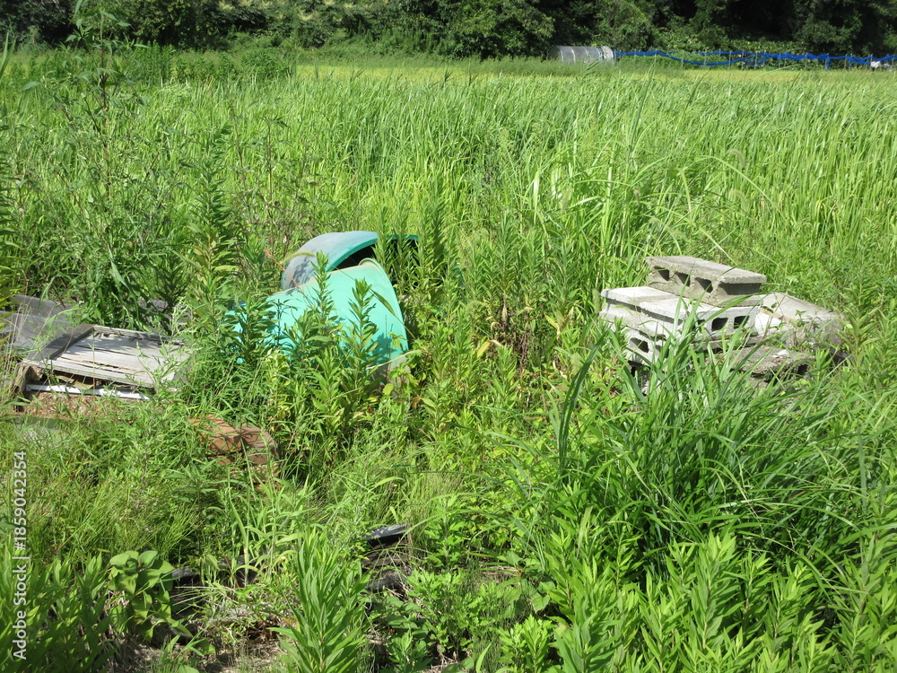 Fototapeta premium 耕作放棄地