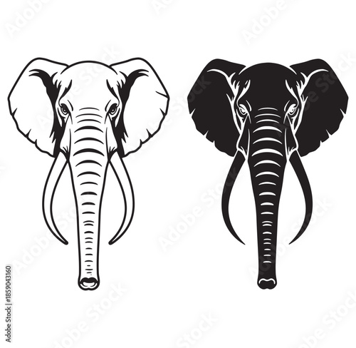 Vector illustration showcasing two detailed elephant head portraits in contrasting black and white styles.