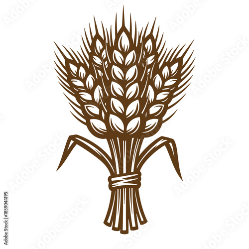 Vintage A brown illustration of a bundle of wheat tied together with a string on transparent background