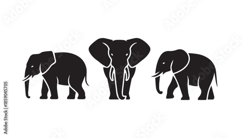 black color elephant set silhouette vector illustration, solid white background