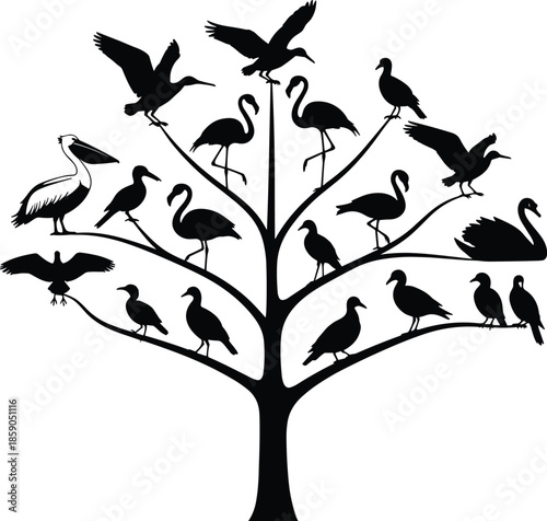 Stylized tree illustration with diverse bird silhouettes, evolutionary phylogenetic concept, avian biodiversity vector art, nature design, wildlife diversity, ecological species representation
