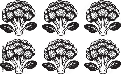 cauliflower heads Six black and white illustrations bundle set