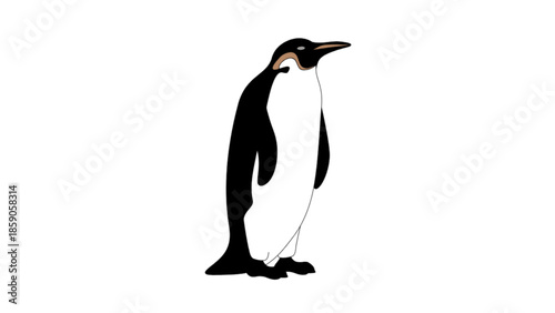 Chinstrap Penguin Vector Illustration Side View