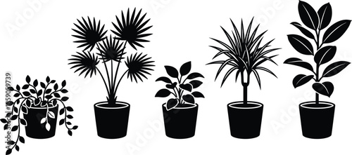Potted plant silhouettes set, indoor houseplants collection, decorative botanical foliage in pots, modern minimal black vector illustration