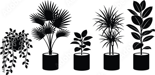 Potted plant silhouettes collection, indoor houseplants in pots, decorative botanical foliage shapes, modern minimal black vector illustration