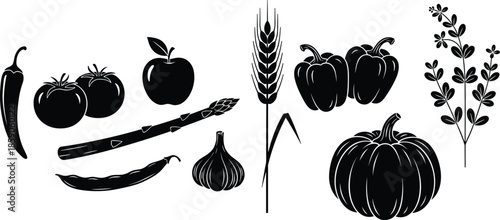 Black vegetable silhouette icons set, tomato apple pepper pumpkin garlic asparagus wheat herbs, organic food vector isolated white