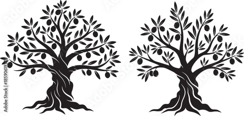 Two olive trees with olives silhouette icon vector graphic