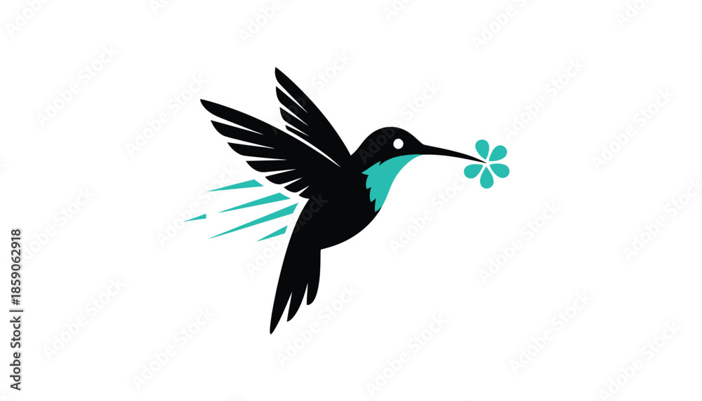 Fototapeta premium Black Hummingbird Flying with Turquoise Flower in Motion Blur Isolated on White