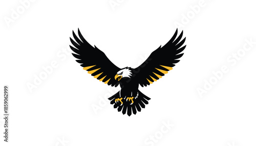 Bald Eagle Flying with Spread Wings on White Background