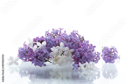Bouquet of white and purple lilacs on a white background
