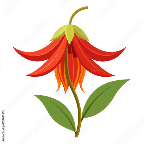 crown imperial flower with branch on white background