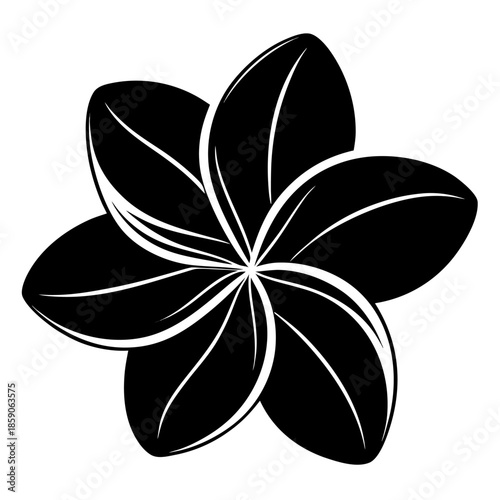  frangipani flower silhouette on white background