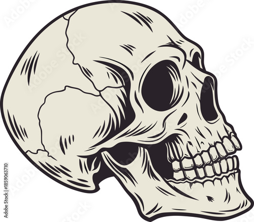 skull silhouette vector design