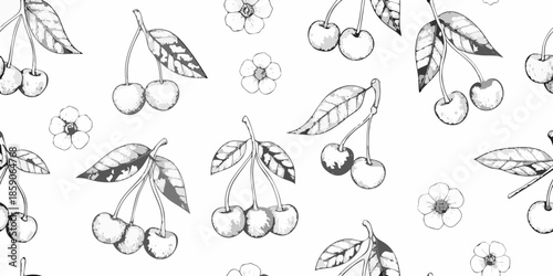 Delicate black and white botanical illustration of cherries and blossoms