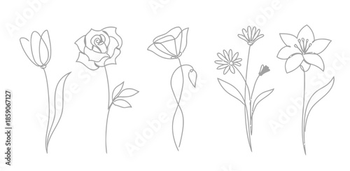 Outline Drawing of Flowers Line Art Blossom Minimalist Floral Vector Illustration Rose Tulip Daisy Lily Floral Design Wedding Invitation Card Modern Botanical