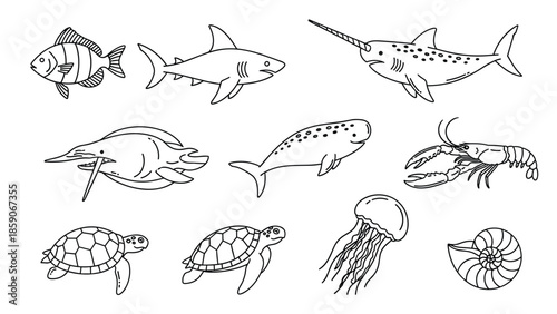 Marine life illustrations for educational materials and design projects, Generative AI.