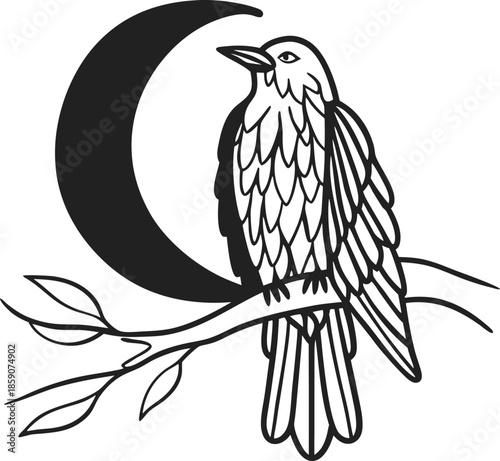 Raven perched on tree branch with crescent moon mystical bird silhouette, nocturnal nature, gothic fantasy line art design