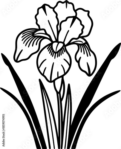 Iris flower line art illustration with detailed petals and leaves elegant botanical outline drawing for coloring pages and floral design
