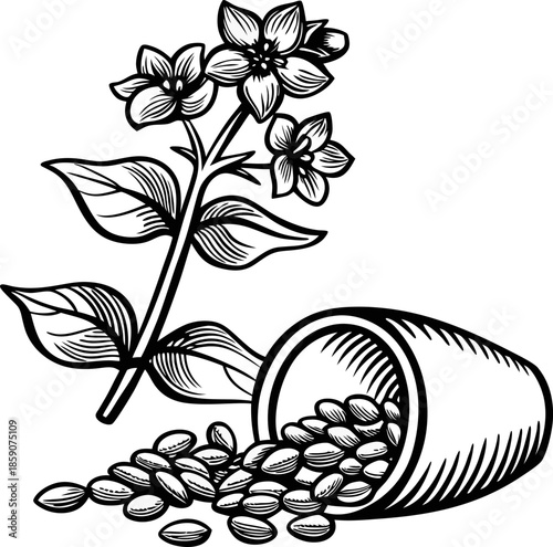 Herb plant with medicinal seeds spilling from container, natural remedy and herbal medicine concept