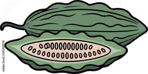 Vibrant Green Vector Graphic of Okra Pod with Visible Seeds Inside, Perfect for Culinary and Botanical Designs