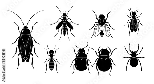Detailed Vector Silhouette Collection of Various Insects and Bugs for Pest Control Icons