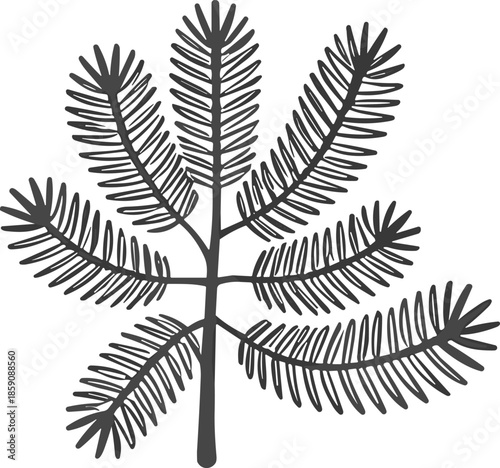Hand-Drawn Evergreen Branch Vector: Palm Leaf Minimalist Doodle of Pine or Fir Bough. Stylized Christmas Decoration, Rustic Nature Element, Simple Holiday Graphic Design Asset, Monochrome Artwork.