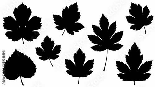 Collection of diverse black leaf silhouettes against a white background.