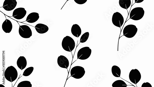 Elegant black eucalyptus branches with round leaves on a clean white background.