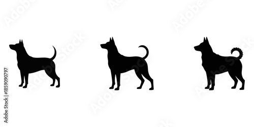 Four black dog silhouettes in different poses showing playful and alert behavior silhouette