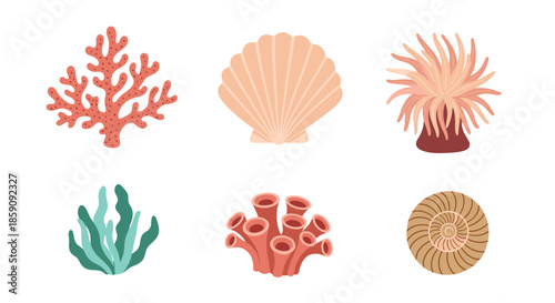 A vibrant collection of diverse underwater marine life illustrations, including corals, shells, and sea plants, set against a clean white background.