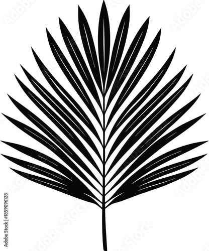 Black palm leaf silhouette isolated on background frond