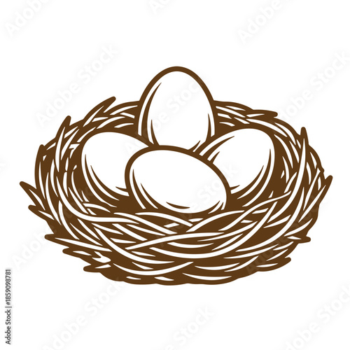 Vintage brown bird nest with three eggs isolated on white background