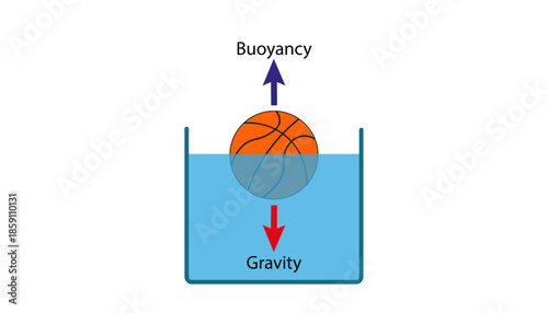 Diagram of buoyancy physics, a ball rising from water 