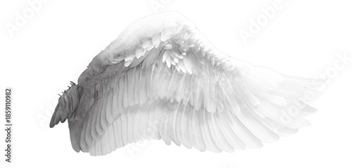Curved white angel wing png illustration, soft layered feathers in graceful arc isolated on transparent background, heavenly celestial costume concept, fantasy character design and photo overlay


