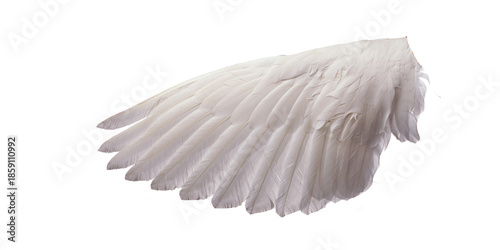 Single white angel wing png photo, realistic soft feathered wing isolated on transparent background, heavenly celestial costume accessory, fantasy character design resource and photo overlay

