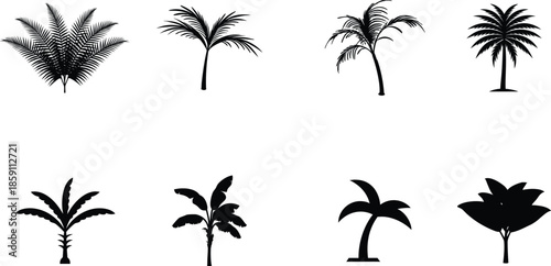 A tropical summer vector illustration featuring a set of palm tree silhouettes and coconut leaves against a beach island landscape for travel and nature design
