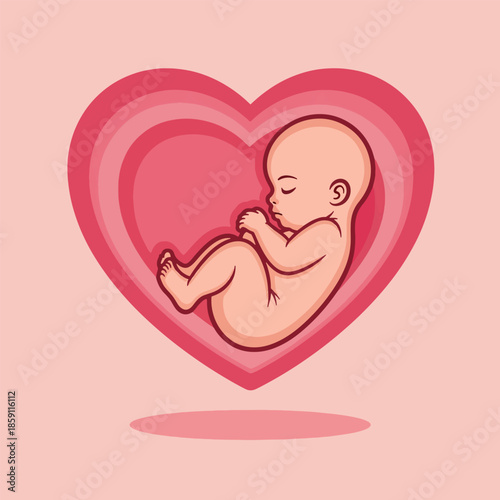Developing Human Fetus Illustration Resting Peacefully Inside a Loving Pink Heart.