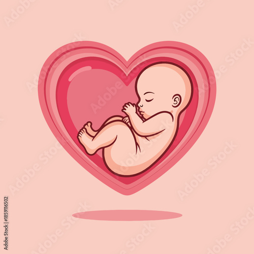 Human fetus curled inside a pink heart symbolizing pregnancy and new life.