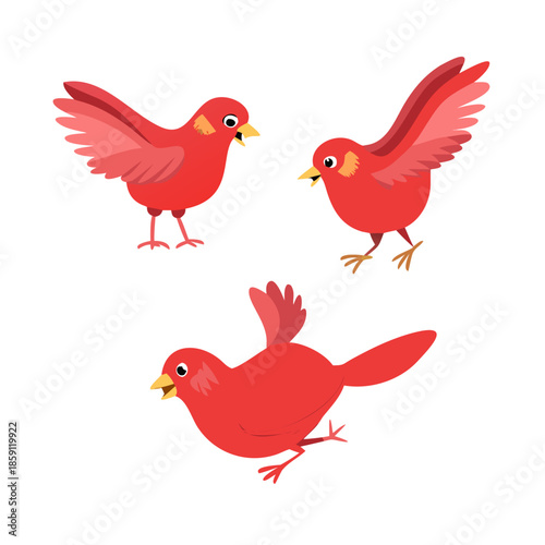 A beautiful Red bird with different position. Made for Hindi moral stories, Create with Illustrator and Ready for Animate CC. See Less
