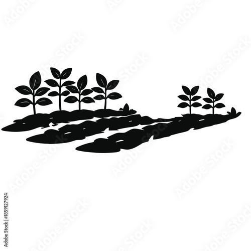Silhouette of growing plants with soil
